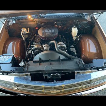 8898-chevy-truck-slosh-tubz-mild-faux-5